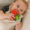 Valery the Raspberry