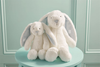 Small Plush Bunny Blue